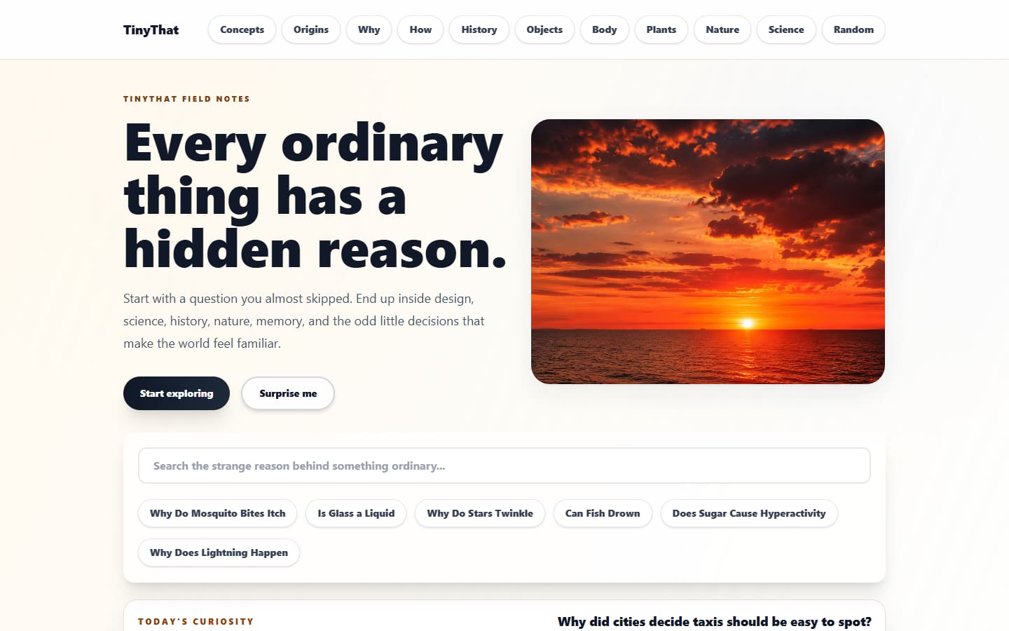 TinyThat editorial system preview